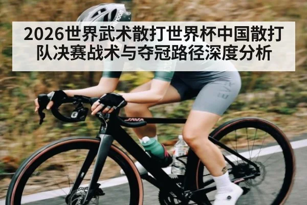 2026世界武术散打世界杯中国散打队决赛战术与夺冠路径深度分析